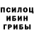 Псилоцибиновые грибы Magic Shrooms Dmitriy Morgunenko