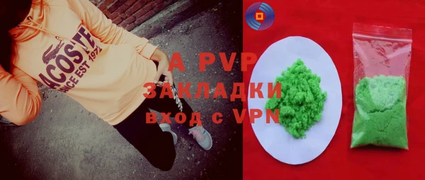 2c-b Инта
