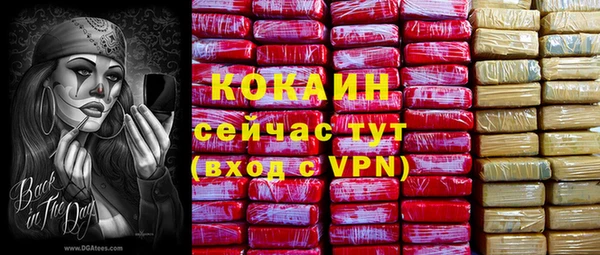 2c-b Инта