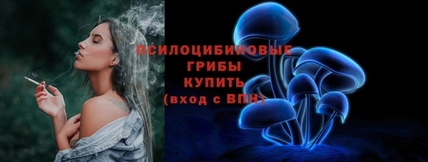 2c-b Инта