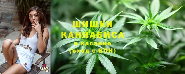 а пвп мука Инсар