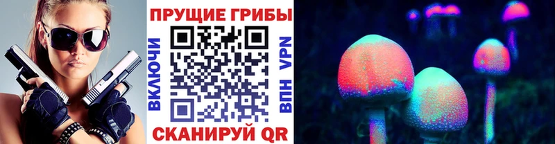 Купить закладки  Городовиковск  Псилоцибиновые грибы Psilocybine cubensis 